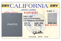 11Ea1 Free Drivers License Template | Wiring Resources with regard to Blank Drivers License Template