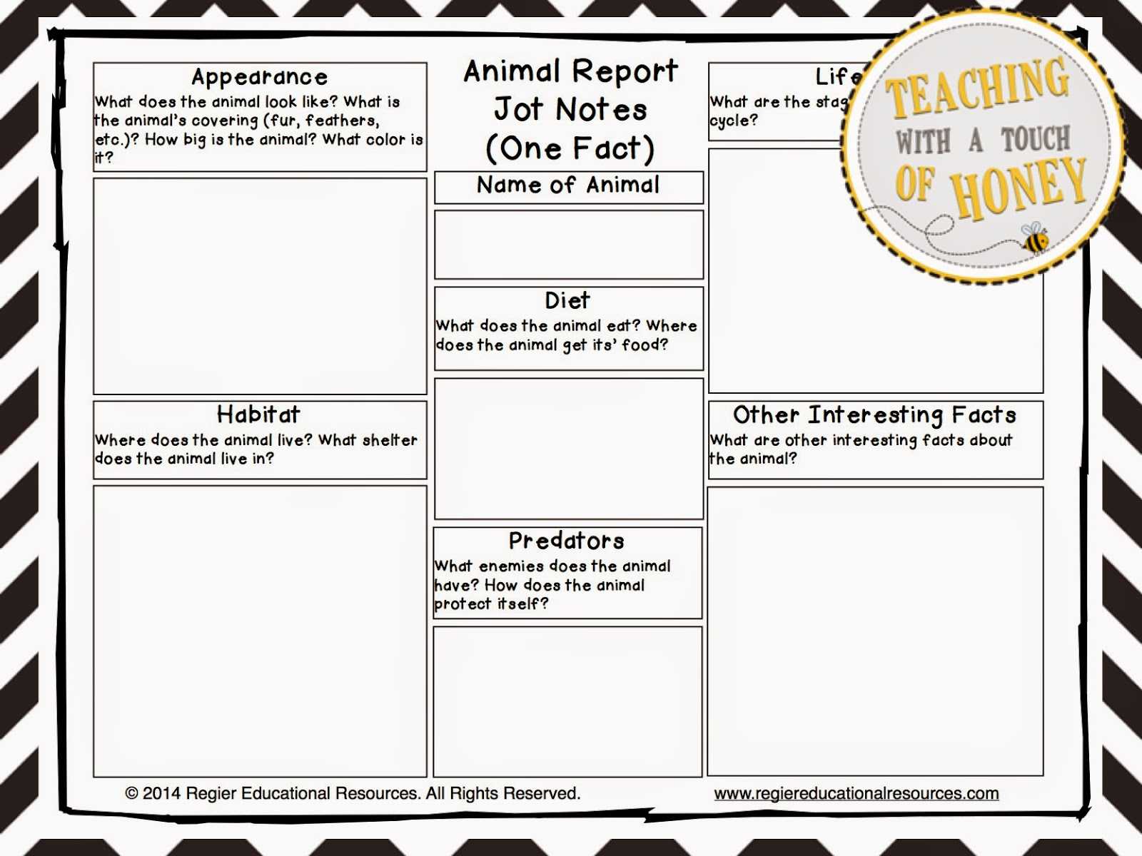 28+ [ Animal Book Report ] | Animal Book Report First Grade Within Animal Report Template
