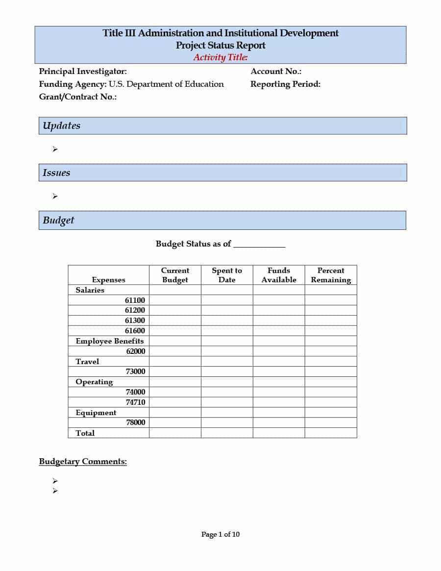 40+ Project Status Report Templates [Word, Excel, Ppt] ᐅ For It Issue Report Template