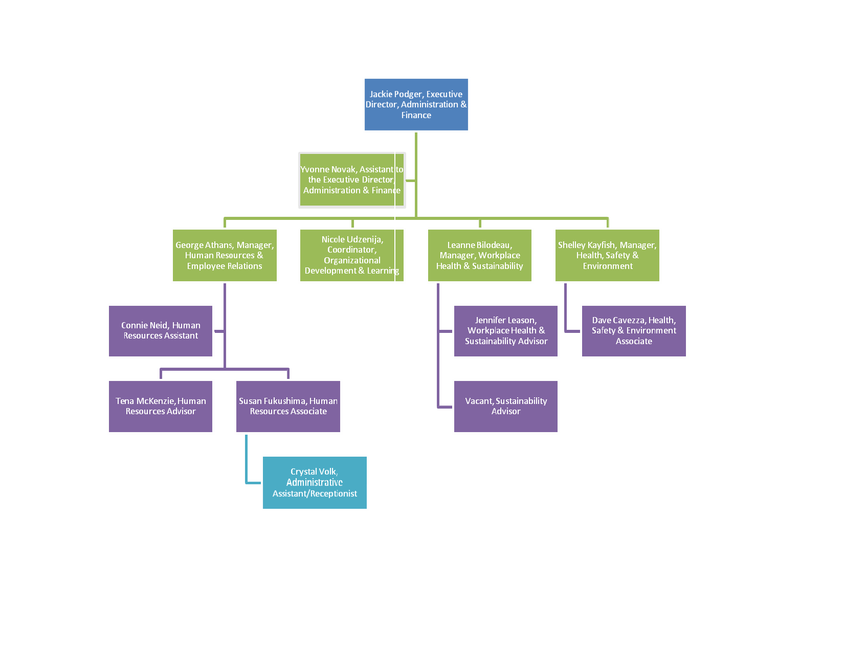 59 Images Organizational Chart Template Word 2013 For Organogram Template Word Free