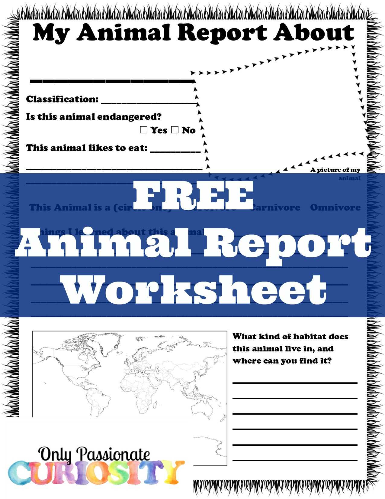 Animal Report Worksheet – Only Passionate Curiosity Inside Animal Report Template
