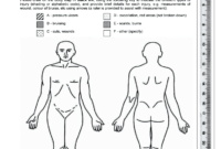 Body Maps Nhs - Fill Online, Printable, Fillable, Blank pertaining to Blank Body Map Template