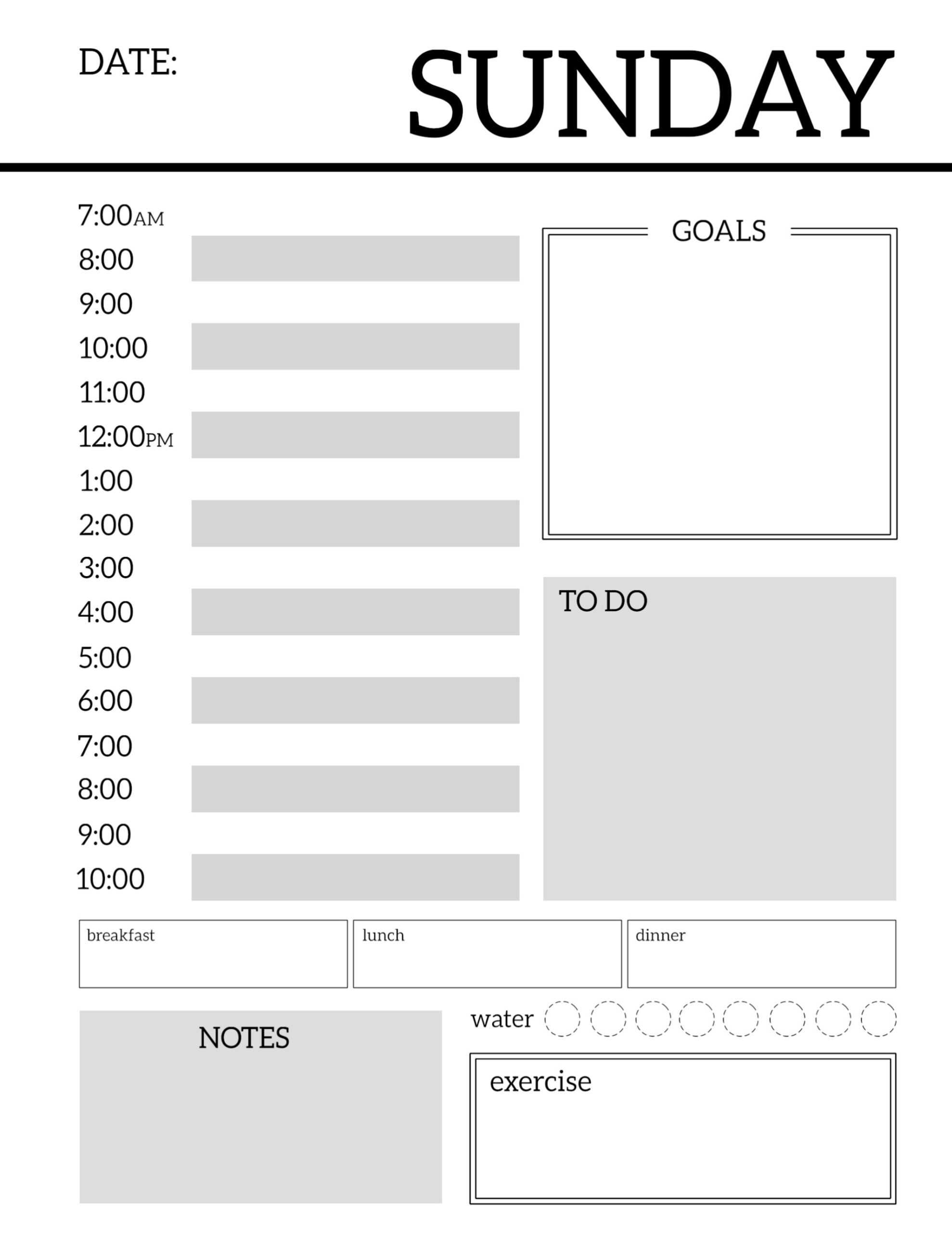 Daily Planner Printable Template Sheets – Paper Trail Design Throughout Printable Blank Daily Schedule Template