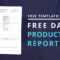 Download Free Daily Production Report Template Throughout Wrap Up Report Template