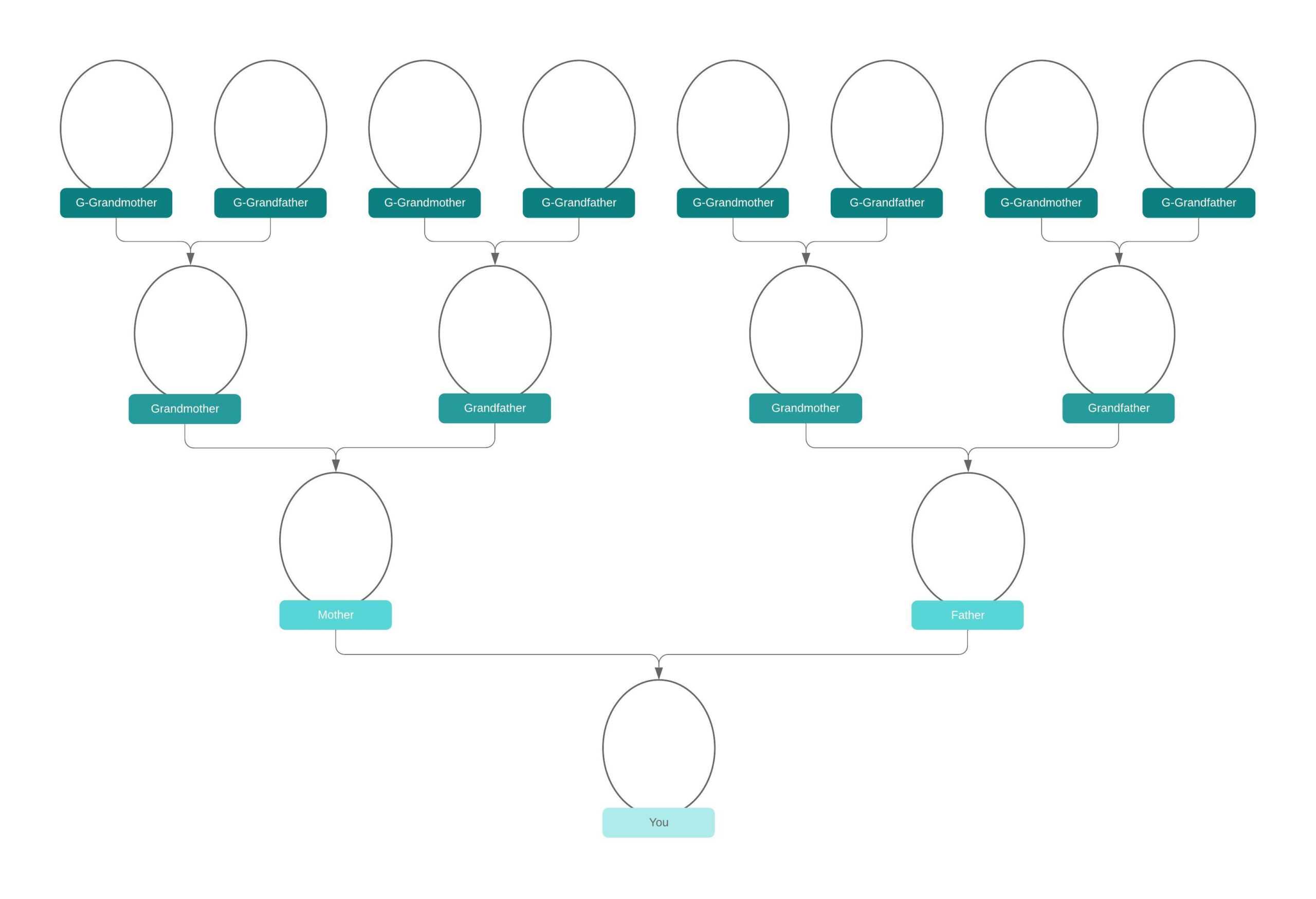 Family Tree Generator | Lucidchart In Blank Tree Diagram Template