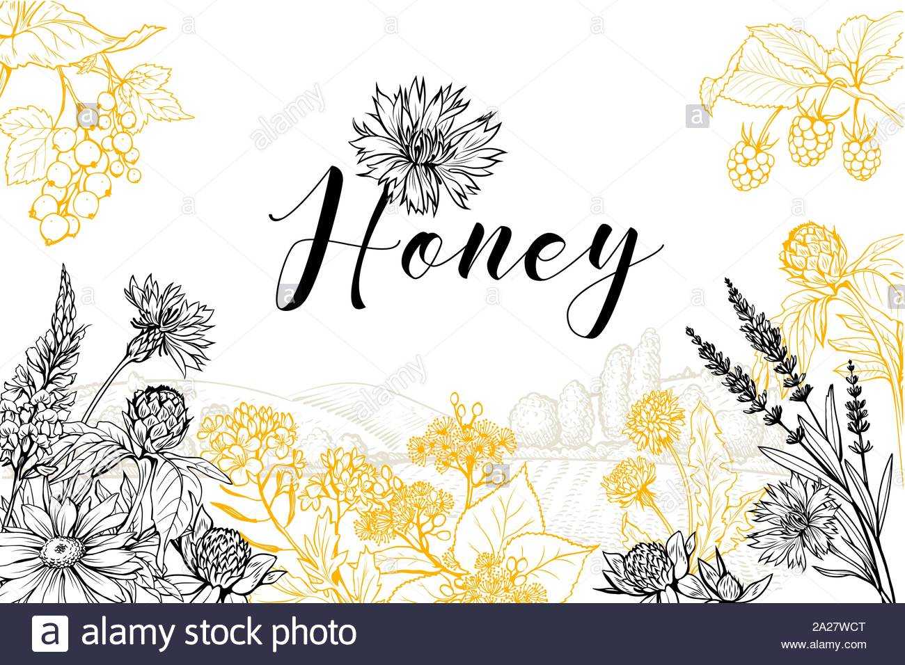 Flower Honey Vector Hand Drawn Banner Template. Natural Regarding Homemade Banner Template