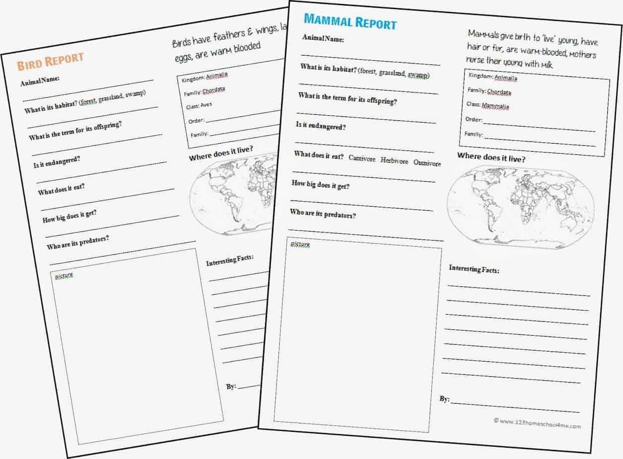 Free Animal Report Form Printable In Animal Report Template
