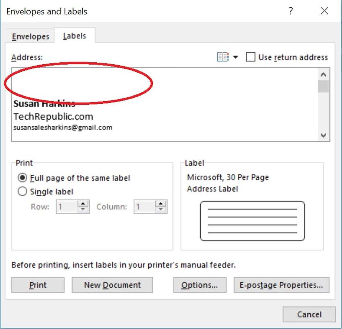 How To Insert Graphics Into Word Label Documents – Techrepublic For Name Tag Template Word 2010