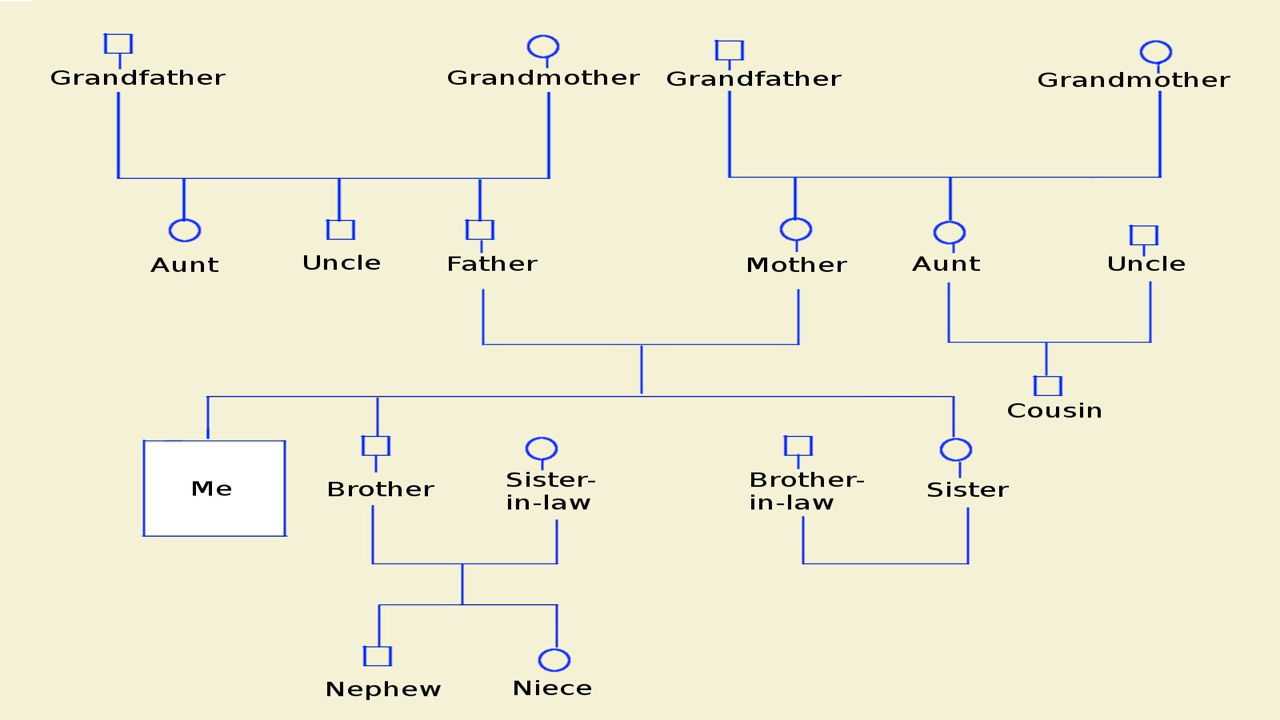 How To Make A Genogram Using Microsoft Word - Tech Spirited Within Family Genogram Template Word