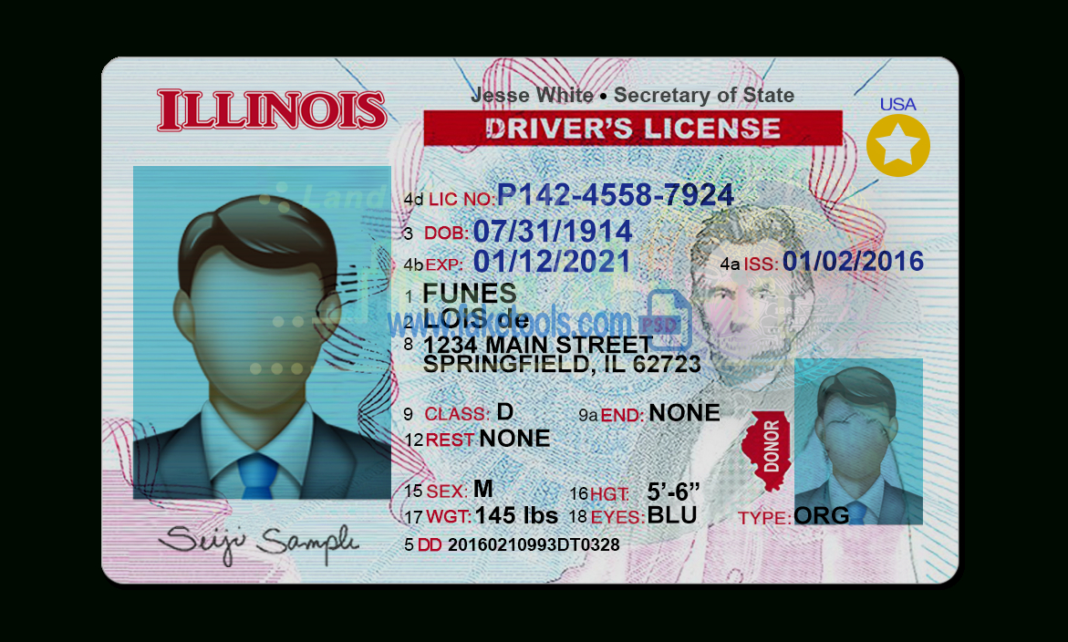 Illinois Driver License Psd Template In Blank Drivers License Template