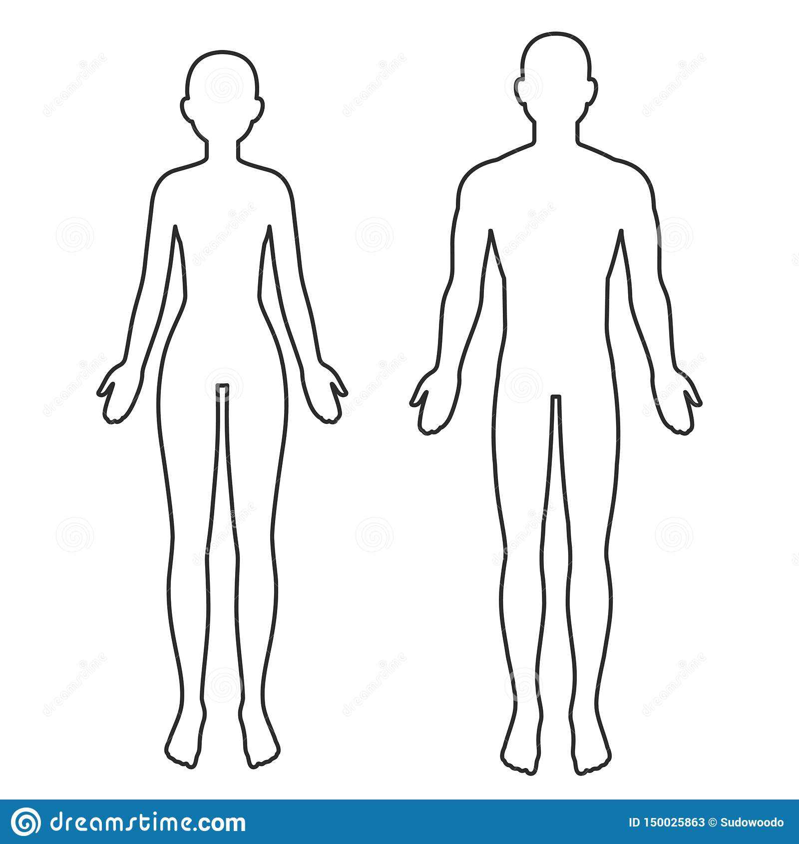 Male And Female Body Outline Stock Vector – Illustration Of With Blank Body Map Template