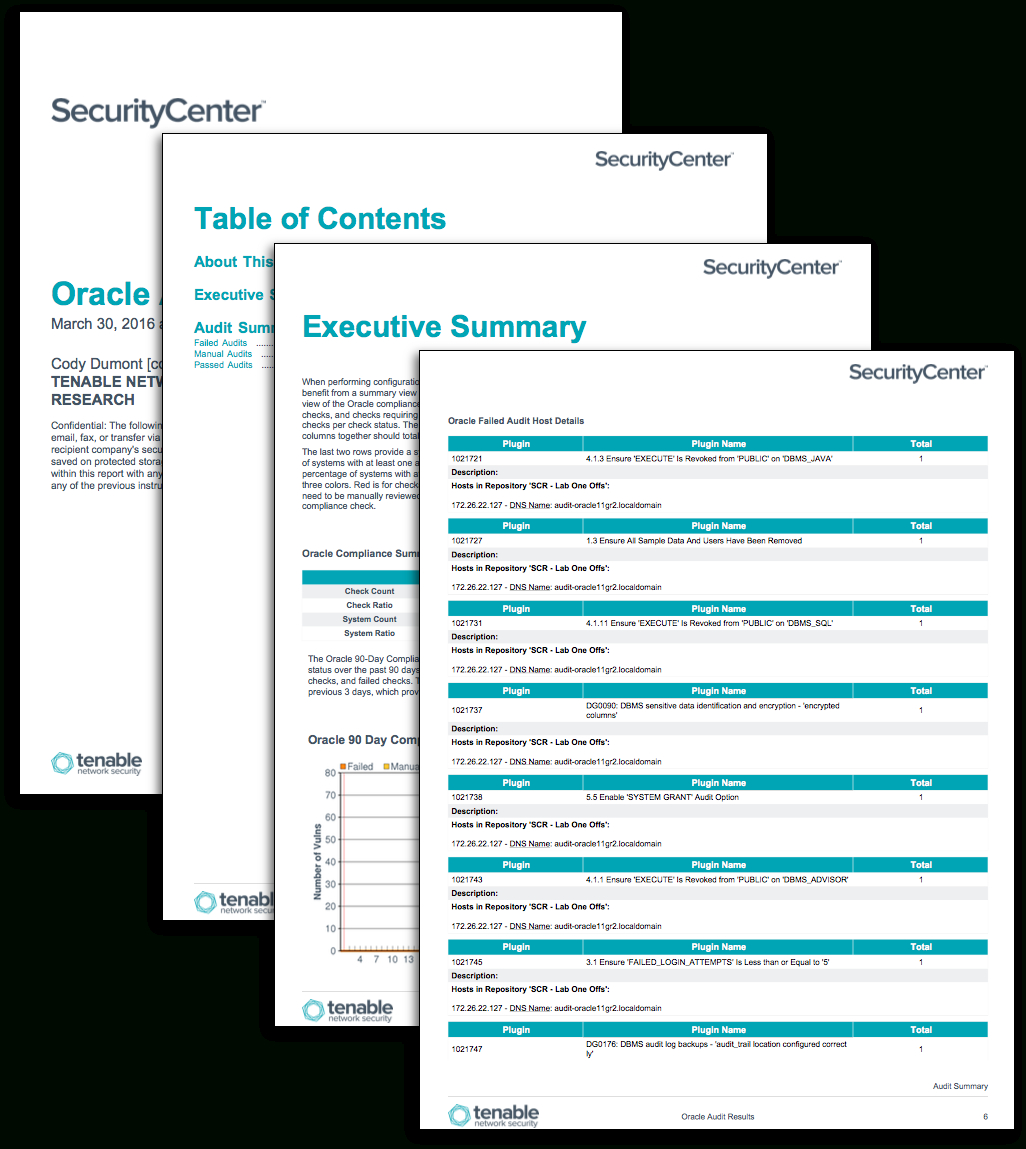 Oracle Audit Results – Sc Report Template | Tenable® Intended For Network Analysis Report Template