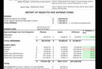 Printable Grant Financial Report Template Best Of in Fundraising Report Template