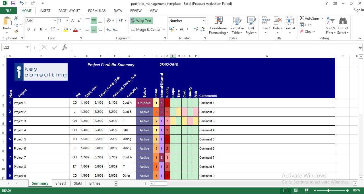 Project Portfolio Management Excel Template - Engineering Within Portfolio Management Reporting Templates