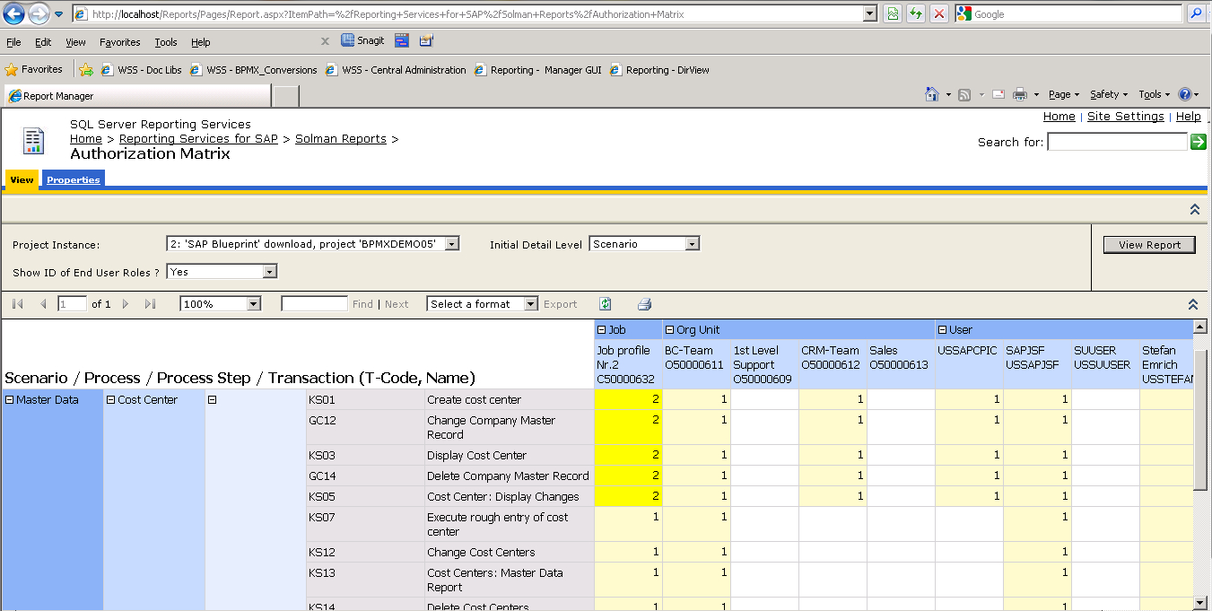 Reporting Services For Sap Projects – Transware Ag With Html Report Template Download