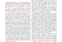 Sage - Sage Open Template within Journal Paper Template Word