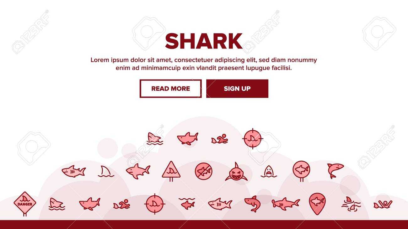 Shark Fish Landing Web Page Header Banner Template Vector. Dangerous.. Regarding Sharkfin Banner Template