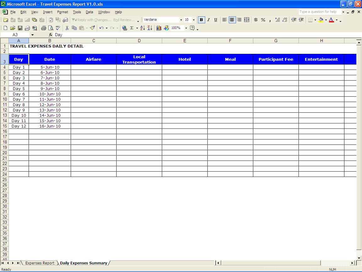 Travel Expenses Report Regarding Daily Expense Report Template