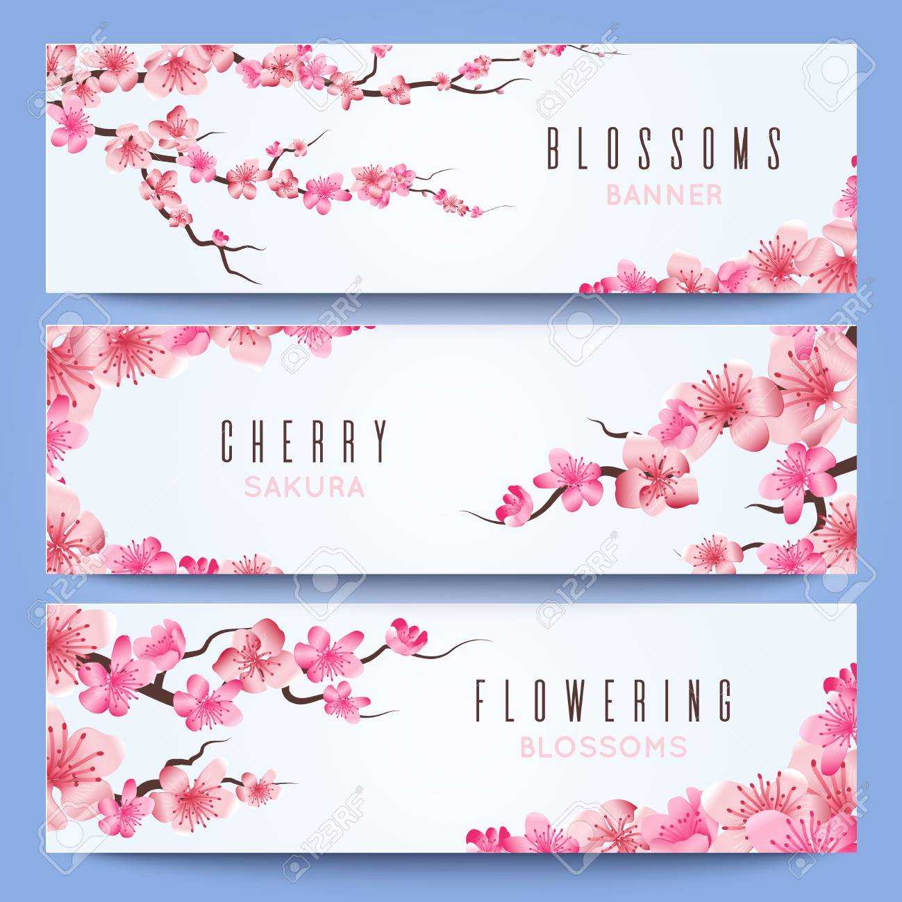 Wedding Banners Template With Spring Japan Sakura, Cherry Blossom Throughout Wedding Banner Design Templates