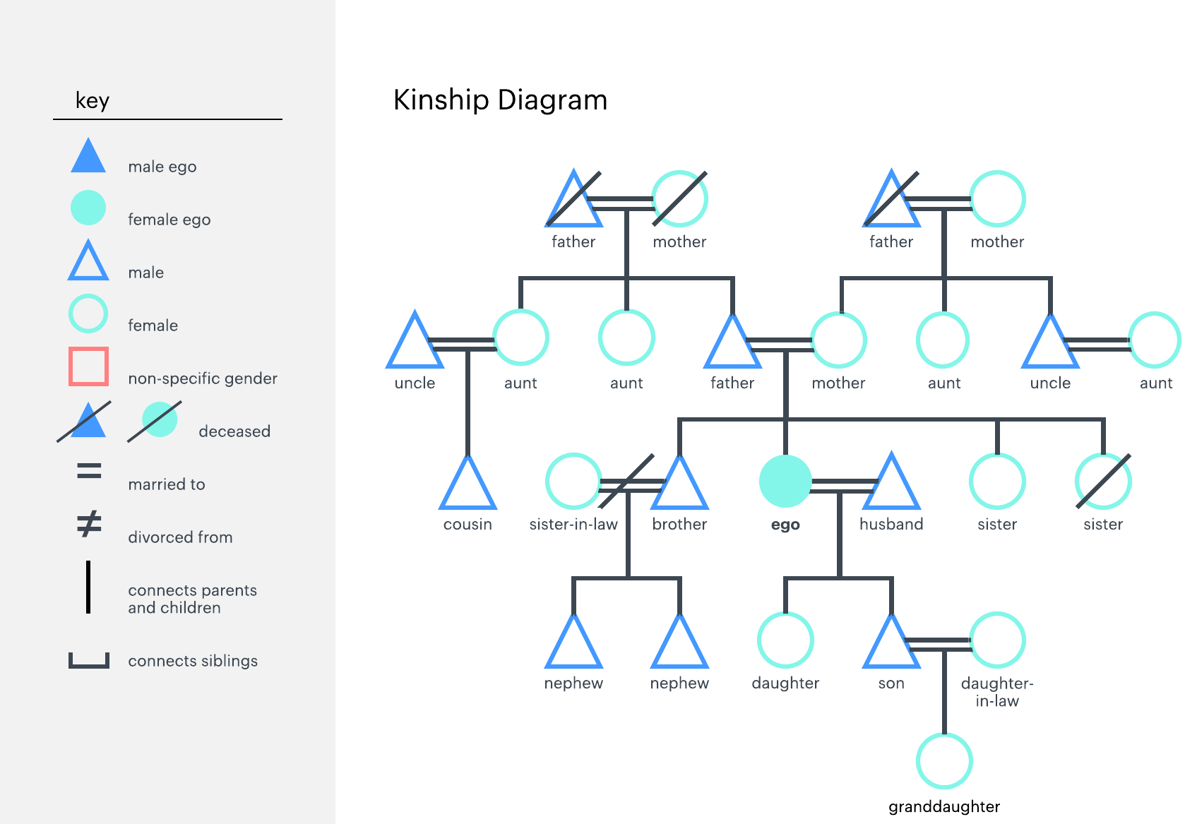 What Is A Genogram And How To Make One For Family Genogram Template Word